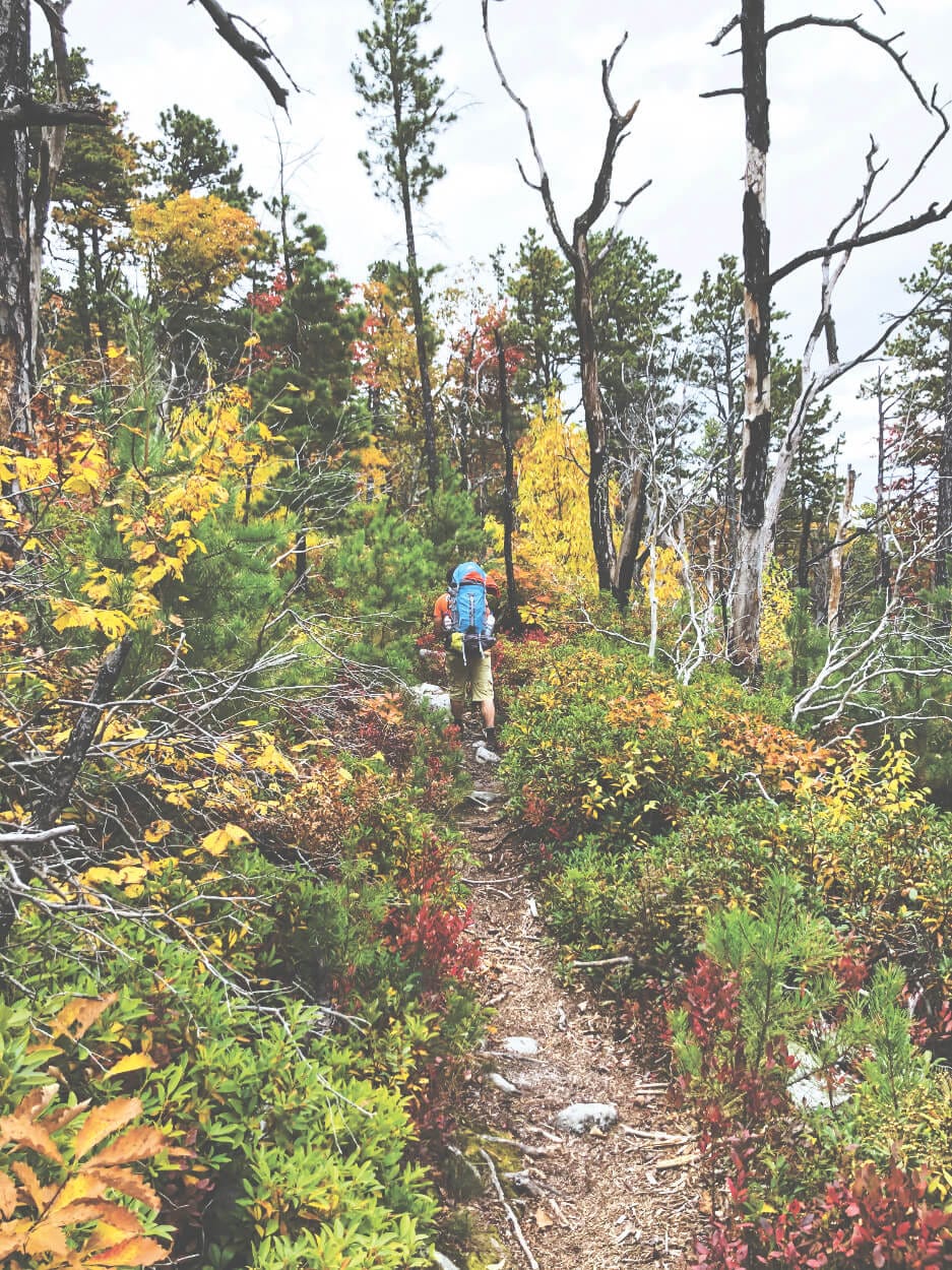 Hiking North Fork Mountain Trail (Again)