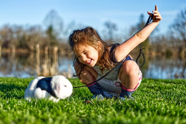 Taking The Bunny Out For A Casual Sunday Stroll