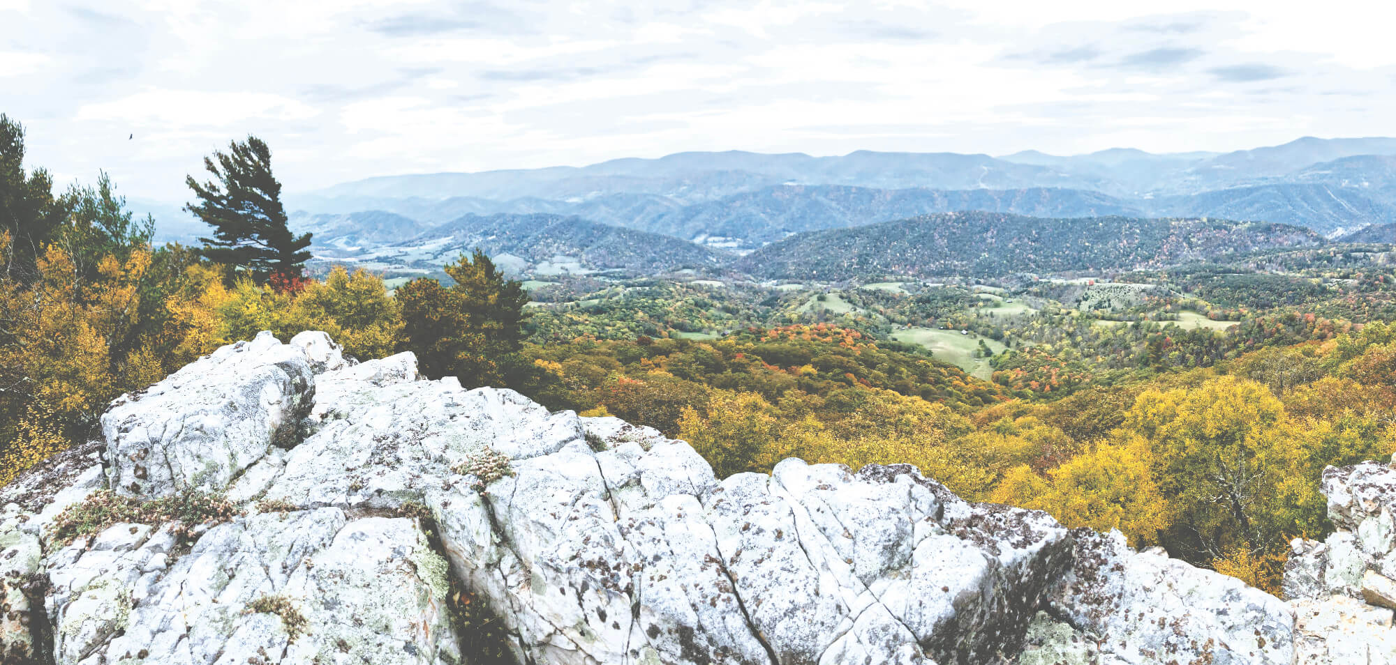 Hiking North Fork Mountain Trail (Again)