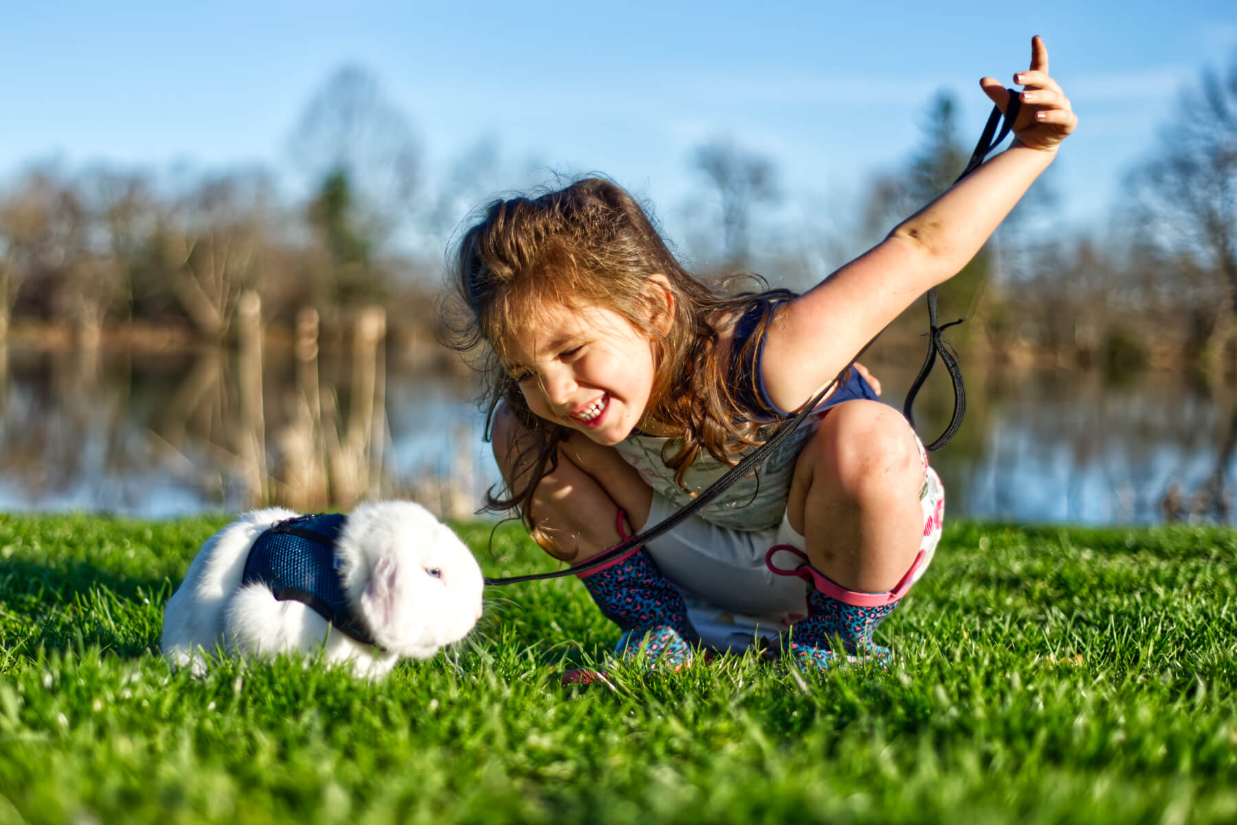 Taking the Bunny Out for Casual Sunday Stroll